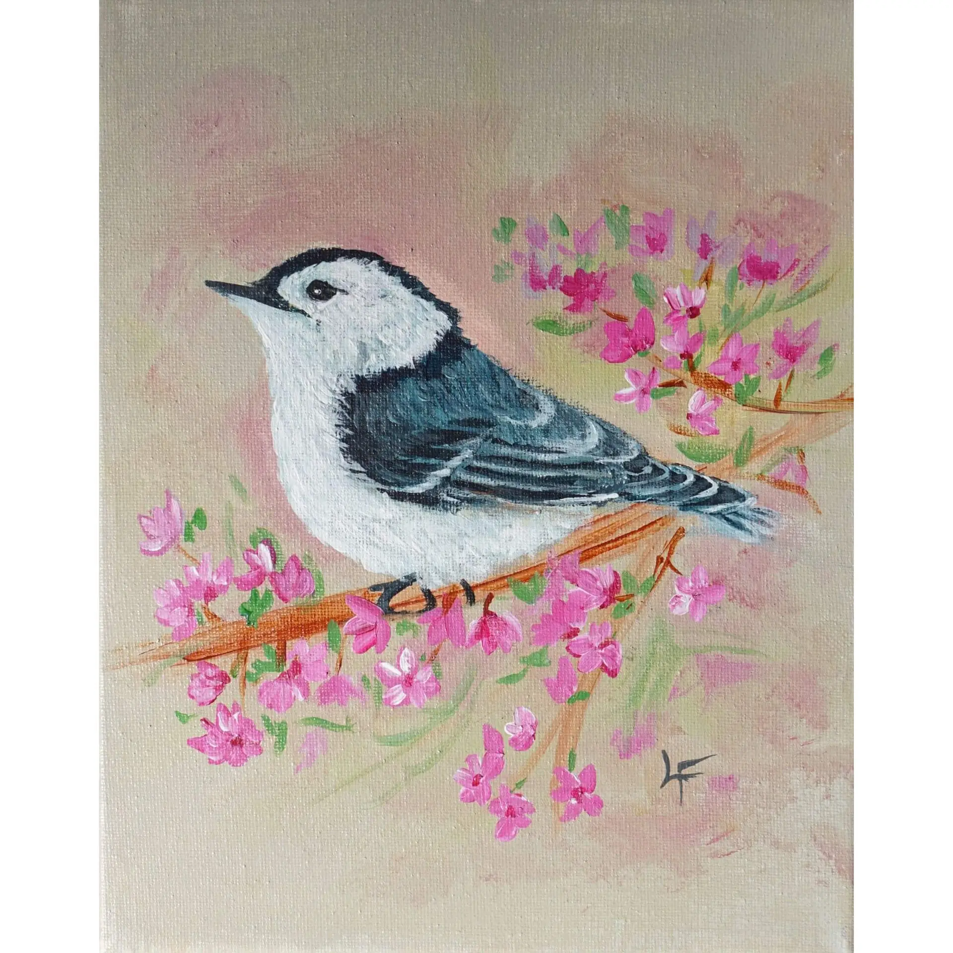 White Breasted Nuthatch - Acrylic Painting