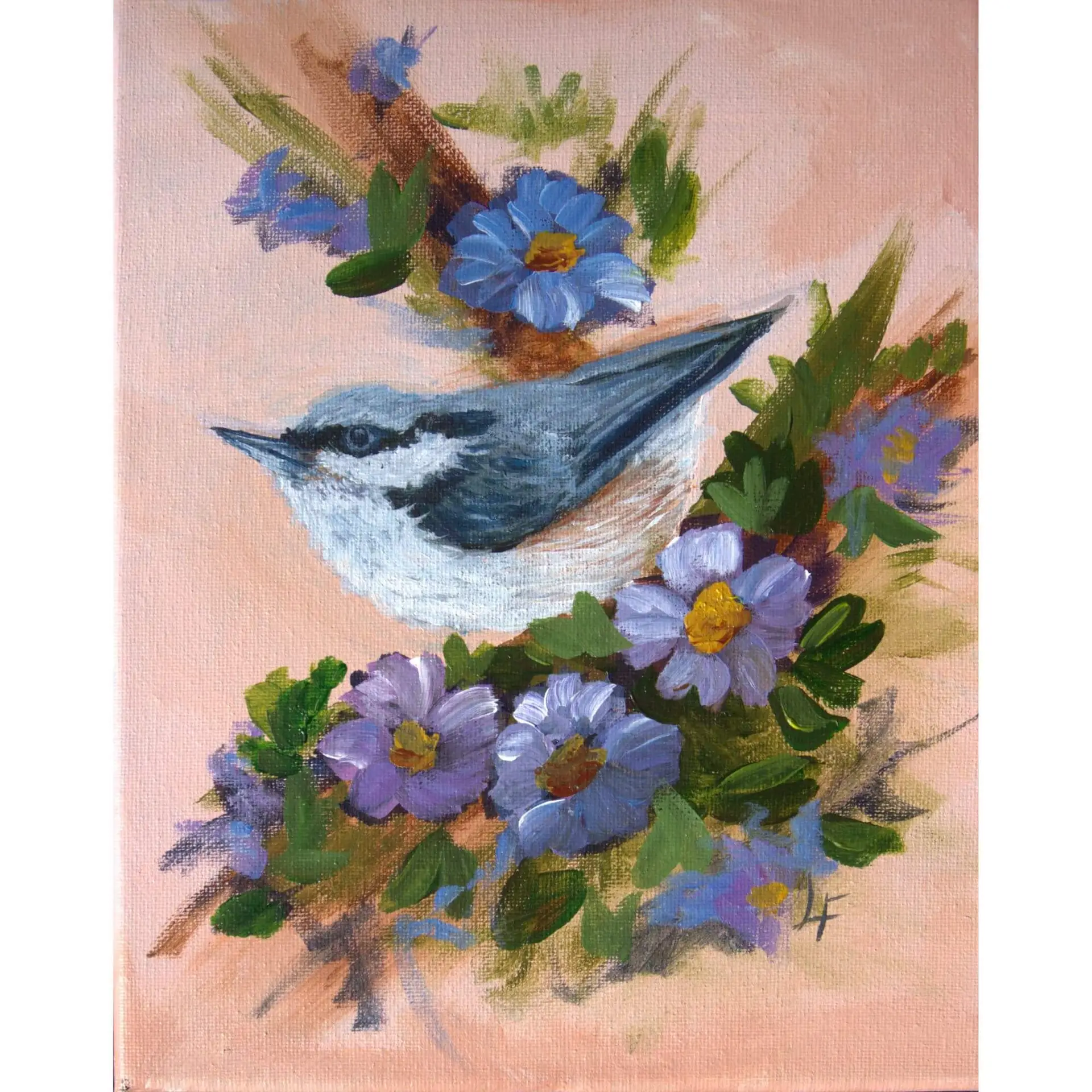 White Breasted Nuthatch – Acrylic Painting