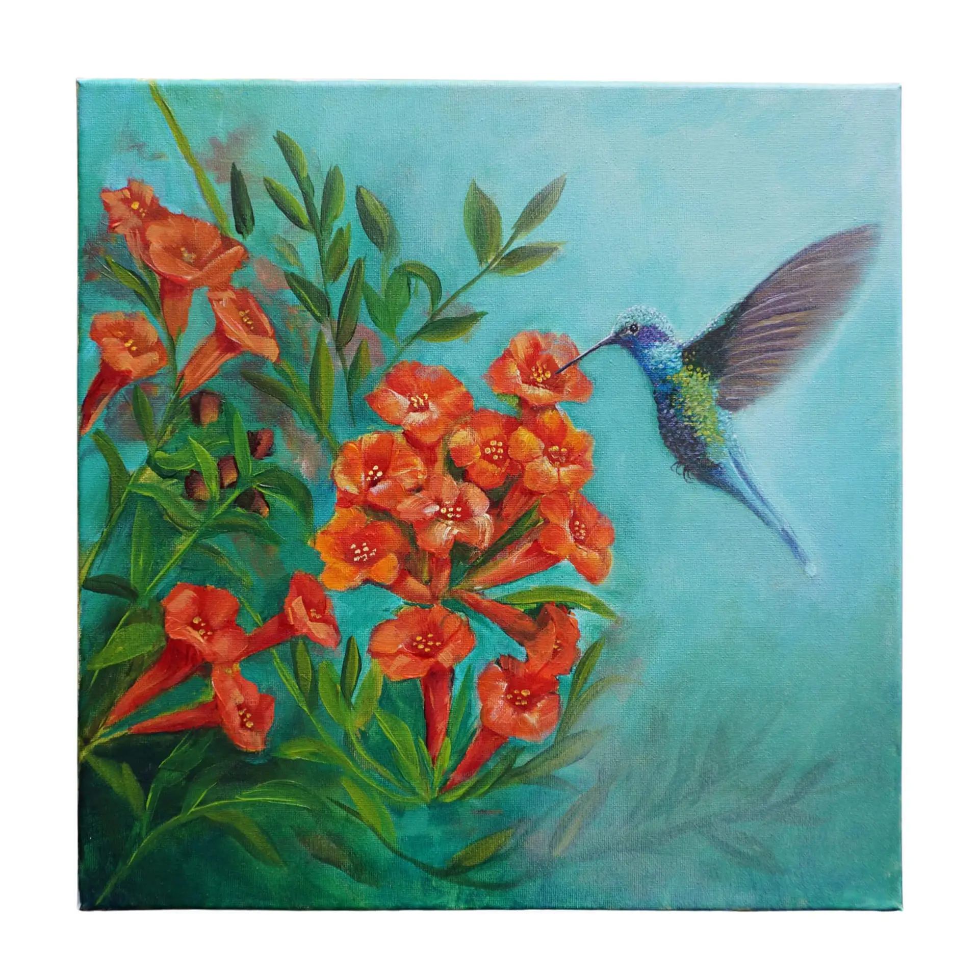 a painting of a hummingbird feeding on flowers