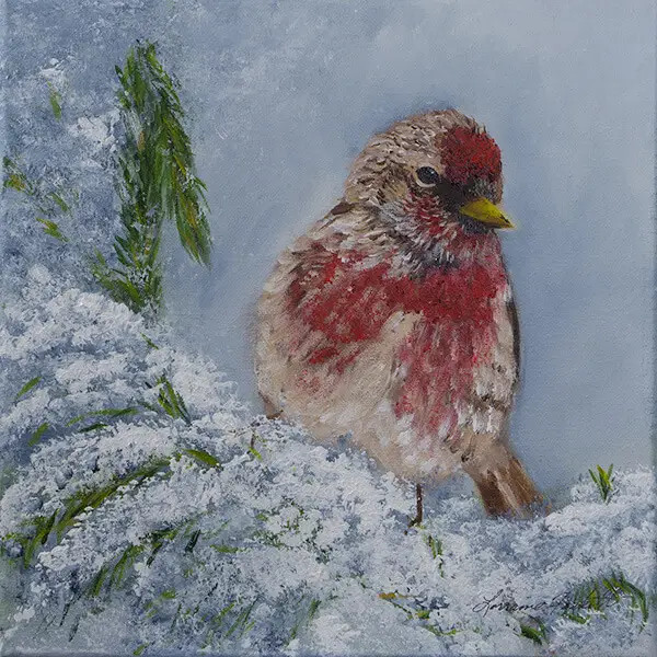 original art winter house finch bird art